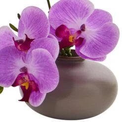 7" Assorted Moth Orchid Arrangement, 3ct. -Michaels Shop D292568S 13