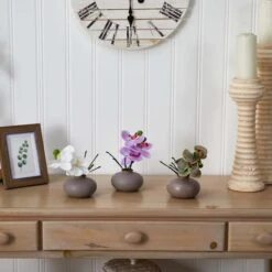 7" Assorted Moth Orchid Arrangement, 3ct. -Michaels Shop D292568S 14