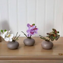 7" Assorted Moth Orchid Arrangement, 3ct. -Michaels Shop D292568S 15