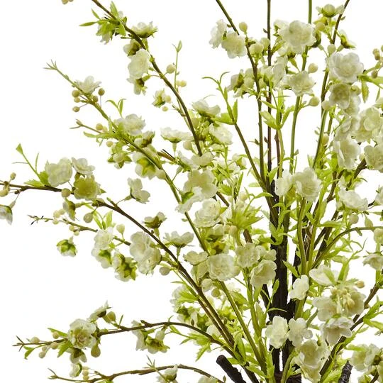 2ft. White Cherry Blossom In Glass Vase 5 2ft. White Cherry Blossom In Glass Vase - Image 3