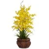 2.5ft. Yellow Dancing Lady Orchid Arrangement With Bamboo Vase -Michaels Shop D292604S 1