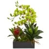 23.5" Green Pigeon Orchid & Bromeliad Arrangement In Black Rectangle Planter -Michaels Shop D292615S 11