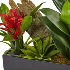 23.5" Green Pigeon Orchid & Bromeliad Arrangement In Black Rectangle Planter -Michaels Shop D292615S 12
