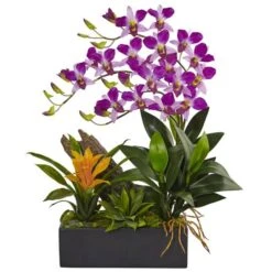 23.5" Purple Pigeon Orchid & Bromeliad Arrangement In Black Rectangle Planter