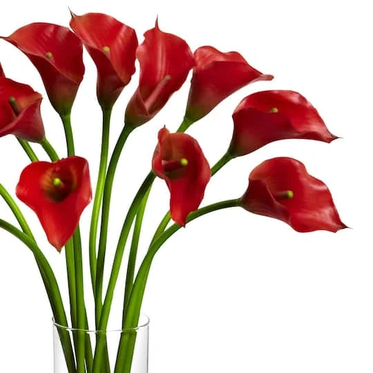 20" Mini Calla Lily Arrangement In Tall Vase, Red 5 20" Mini Calla Lily Arrangement In Tall Vase, Red - Image 3