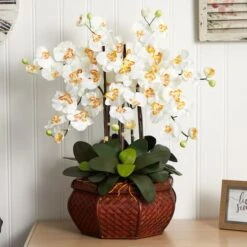 2.5ft. Potted Large Moth Orchid Arrangement, Cream 8 2.5ft. Potted Large Moth Orchid Arrangement, Cream -Michaels Shop D292664S 12