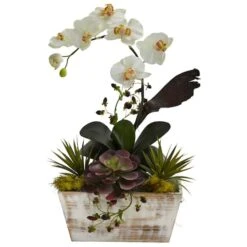 21" Orchid & Succulent Garden In White Wash Planter -Michaels Shop D292674S 1 1