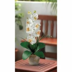21" Moth Orchid Arrangement In Ceramic Planter -Michaels Shop D292693S 13