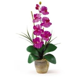 21" Moth Orchid Arrangement In Ceramic Pot -Michaels Shop D292695S 1 1
