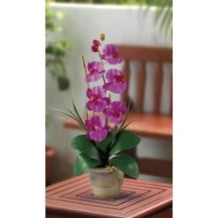 21" Moth Orchid Arrangement In Ceramic Pot -Michaels Shop D292695S 2