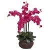 2.5ft. Pink Moth Orchid Arrangement With Decorative Vase