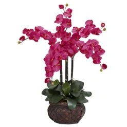 2.5ft. Pink Moth Orchid Arrangement With Decorative Vase