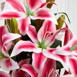 18" Pink Rubrum Lily Arrangement With Decorative Vase -Michaels Shop D292734S 13