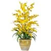 2.5ft. Yellow Triple Dancing Lady Orchid Arrangement In Planter -Michaels Shop D292739S 1