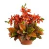 18" Boat Orchid & Croton Floral Arrangement In Terra Cotta Vase