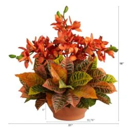 18" Boat Orchid & Croton Floral Arrangement In Terra Cotta Vase -Michaels Shop D292759S 2