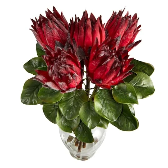 23" Red King Protea Arrangement In Glass Vase 6 23" Red King Protea Arrangement In Glass Vase - Image 4