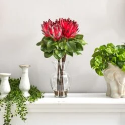 23" Red King Protea Arrangement In Glass Vase 14 23" Red King Protea Arrangement In Glass Vase -Michaels Shop D292824S 5