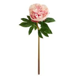 Light Pink Peony Artificial Flower Stem, 3ct. -Michaels Shop D293269S 1 1