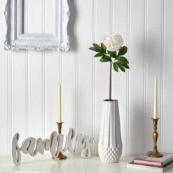 White Peony Artificial Flower Stem, 3ct. -Michaels Shop D293273S 3