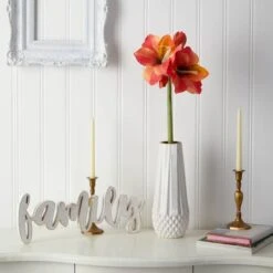 Orange Amaryllis Artificial Flower Stem, 3ct. -Michaels Shop D293286S 3