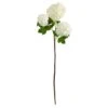 White Snowball Hydrangea Artificial Flower Stem, 2ct. -Michaels Shop D293293S 1