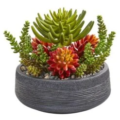 12in. Succulent Garden In Stone Bowl