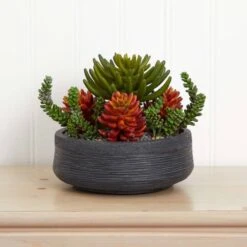 12in. Succulent Garden In Stone Bowl -Michaels Shop D293351S 12