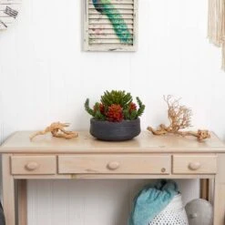 12in. Succulent Garden In Stone Bowl -Michaels Shop D293351S 13