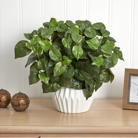 16in. Pothos Plant In White Ceramic Vase 5 16in. Pothos Plant In White Ceramic Vase - Image 3