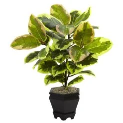 22in. Variegated Rubber Leaf Plant In Wood Planter -Michaels Shop D293362S 1 1