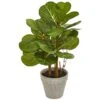 22" Fiddle Leaf In Stone Planter -Michaels Shop D293363S 11