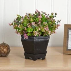 13in. Sedum & Eucalyptus Plant In Black Hexagon Planter -Michaels Shop D293369S 15