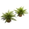 15" Ruffle Fern Bush With Burlap Base, 2ct. -Michaels Shop D293370S 1