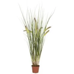 2.5ft. Potted Grass Plant