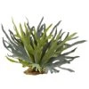 21" Staghorn Fern, 2ct. -Michaels Shop D293385S 1