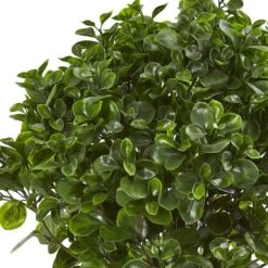 2.5ft. Peperomia Plant In Sand Stone Planter -Michaels Shop D293424S 12
