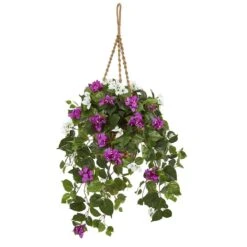 2.5ft. Mixed Bougainvillea In Hanging Basket