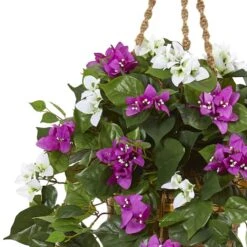 2.5ft. Mixed Bougainvillea In Hanging Basket -Michaels Shop D293431S 12