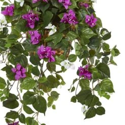 2.5ft. Mixed Bougainvillea In Hanging Basket -Michaels Shop D293431S 13