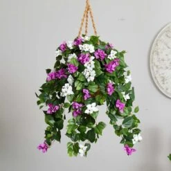 2.5ft. Mixed Bougainvillea In Hanging Basket -Michaels Shop D293431S 14