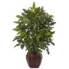 2.5ft. Bracken Fern In Decorative Planter -Michaels Shop D293438S 11