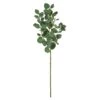 Green Eucalyptus Branch, 6ct. -Michaels Shop D293441S 1