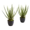 18" Potted Aloe Plant, 2ct. 1 18" Potted Aloe Plant, 2ct. -Michaels Shop D293821S 11