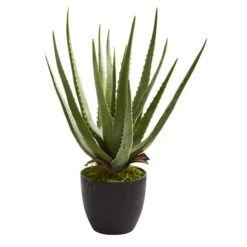 18" Potted Aloe Plant, 2ct. -Michaels Shop D293821S 12