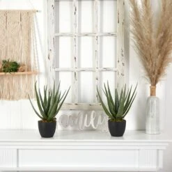 18" Potted Aloe Plant, 2ct. -Michaels Shop D293821S 13