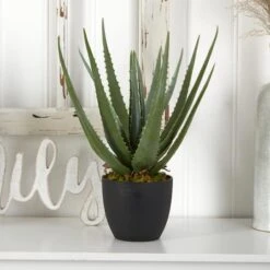 18" Potted Aloe Plant, 2ct. -Michaels Shop D293821S 14