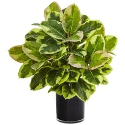 2ft. Rubber Plant In Glossy Cylinder -Michaels Shop D293831S 11 1