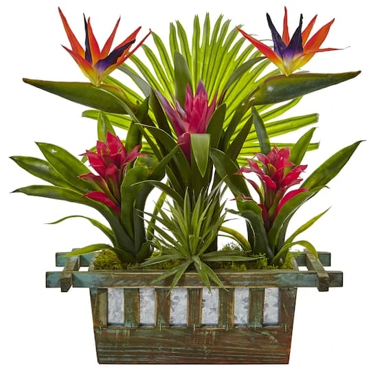 19" Bird Of Paradise & Bromeliad In Wooden Planter 4 19" Bird Of Paradise & Bromeliad In Wooden Planter - Image 2