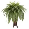 3ft. Boston Fern Plant In Stand 2 3ft. Boston Fern Plant In Stand -Michaels Shop D293838S 11